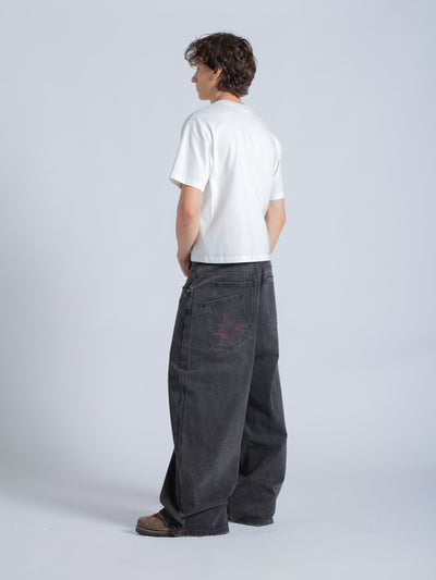 POLARIS JEANS - WASHED BLACK