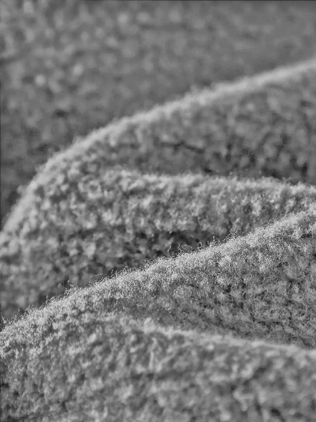 THANKS FOR BEING HERE V2 HOODIE - STONE GREY