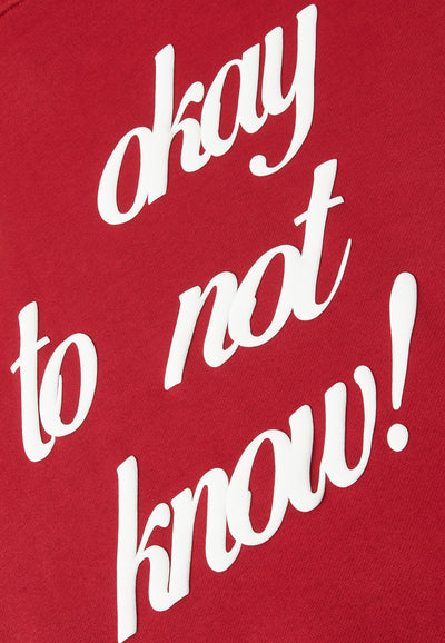 IT'S OKAY TO NOT KNOW HOODIE - MAROON